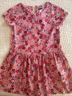 Girls Floral Drop-Waist Dress in Pink & Red